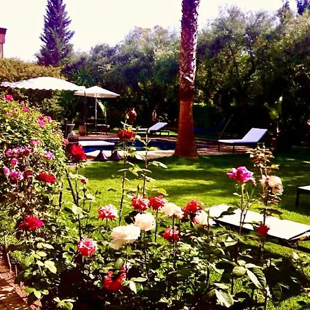 Villa Aalama-2